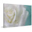 Judy Stalus - Wrapped Canvas Print-20708730