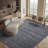 Aaishah Area Rug-482710652-449386293