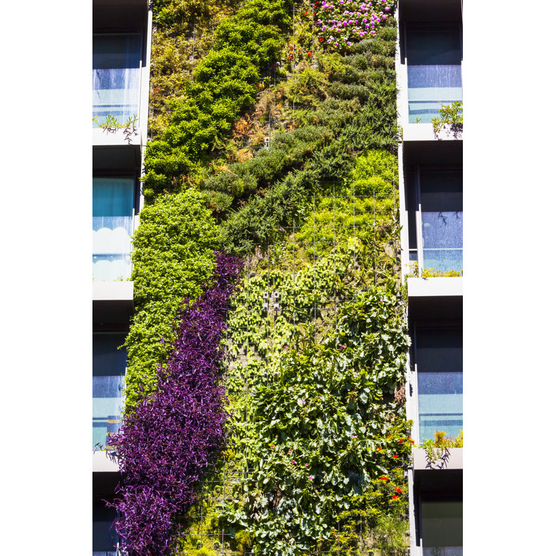 Garden On Residential Building by Imamember - Wrapped Canvas Print, 46cm H x 30cm W