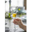 Flûte en verre Zeigler