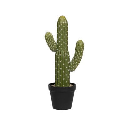 Cactus Saguaro S, vert