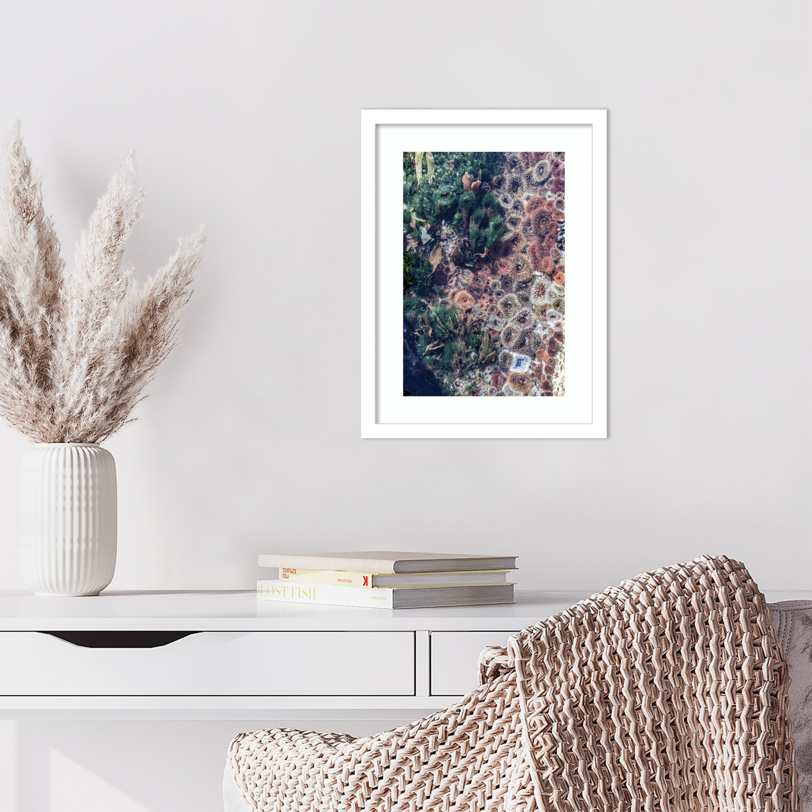 Daisey "Ocean Curiosities" Print, White, 17" H x 13" W