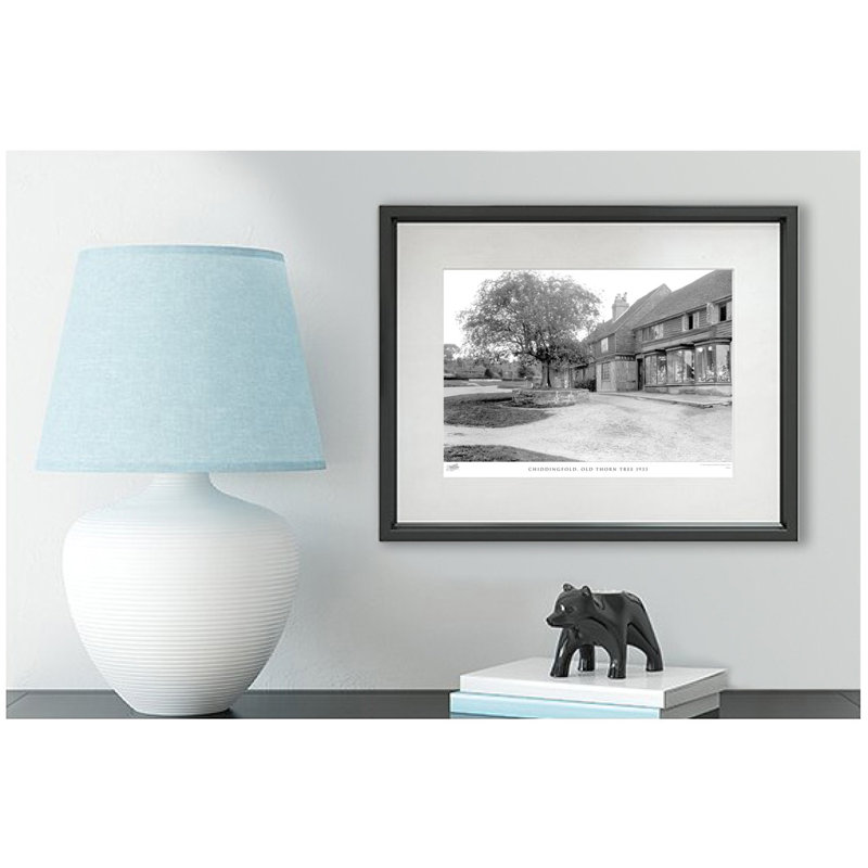 Chiddingfold, Old Thorn Tree 1933 by Francis Frith - Single Picture Frame Print, 45cm H x 60cm W x 2.3cm D