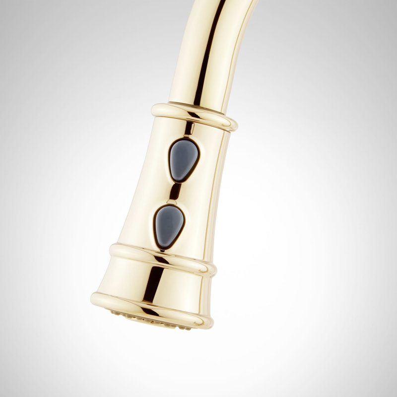Amberley Single-Hole Pull-Down Spray Kitchen Faucet - Brushed Gold, Brushed Gold