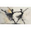 Papier peint abstrait blanc sur fond blanc-1390062499-1390062496