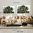 Lebanese Cedar Trees-241800409
