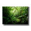 «Warm Glow Rainforest Creek» par Nicklas Gustafsson, art mural sur toile, 26 po x 18 po-797636797