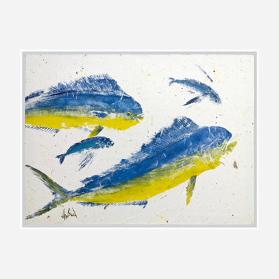Mahi II By John Beard - Gallery Wrapped Canvas Print Print by John Beard