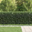 Powder-Coated Steel Fence Panels Included-124587407