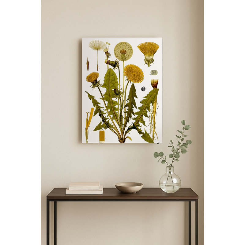 Assiette botanique en métal représentant un pissenlit (Taraxacum officinale) — Portrait, H 10 po x l 8 po