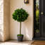 Faux Boxwood Topiary in Pot Liner-39150837