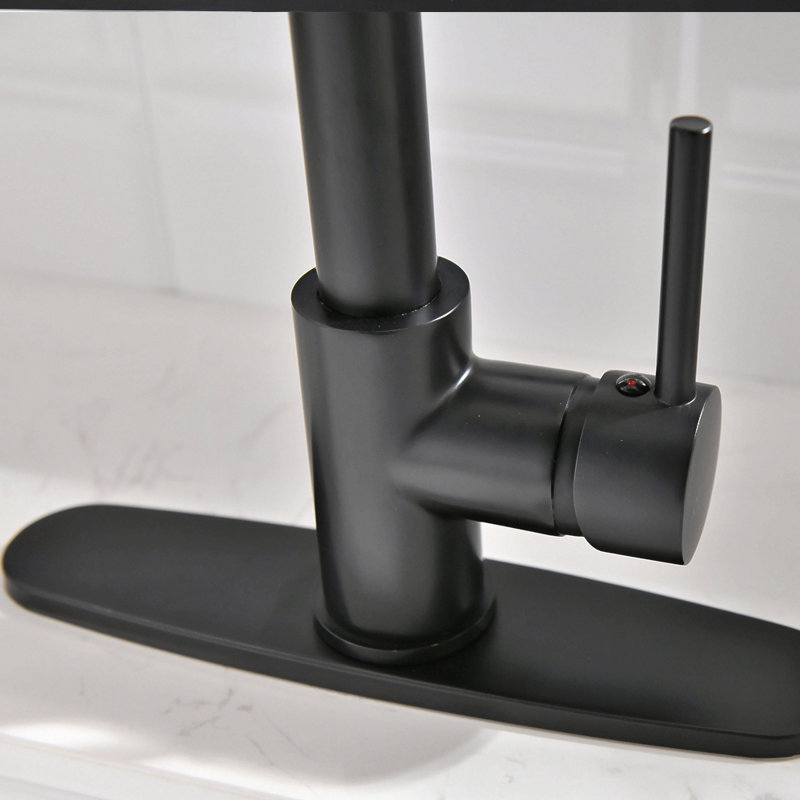 Robinet de cuisine de purificateur d'eau potable avec support de séchage pour vaisselle, robinet d'évier de cuisine rétractable (noir mat)