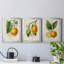 «French Lemon I», ensemble de 3 peintures sur toile encadrées-1674844645-1674844641