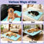Pet Bed-1177820416