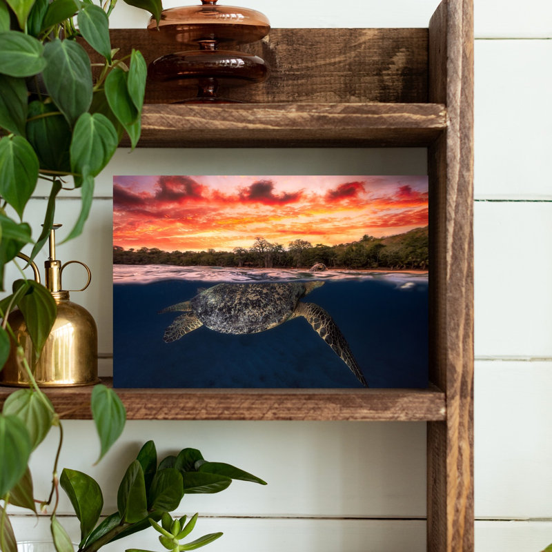 Sea Turtle Sunset Swim Colorful Serene Tranquil Turtle Beach Nature Wall Art Print 1 Piece Wrapped Canvas Wall Art