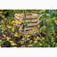 Woodside Wood Stationary Composter