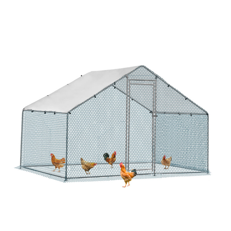 Cammock 65m² Chicken Coop