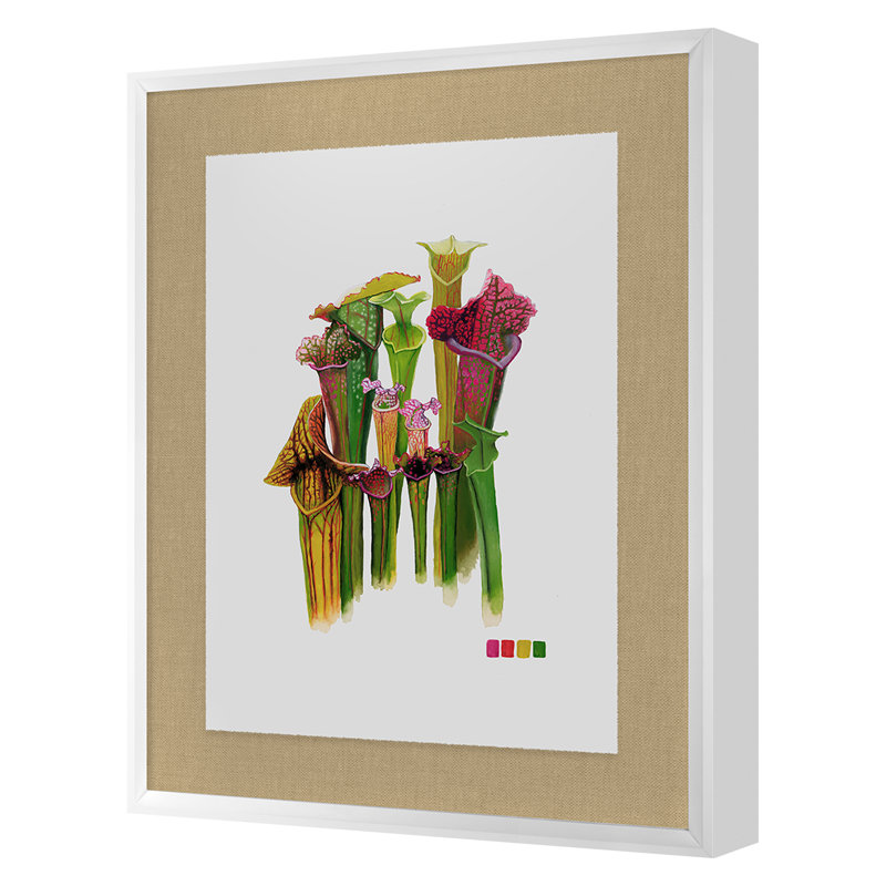 Pitcher Plant Print by Thicket Design, 36" H x 28" W x 1.75" D, White Framed