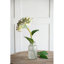 Fausse tige d'hortensia-40159548