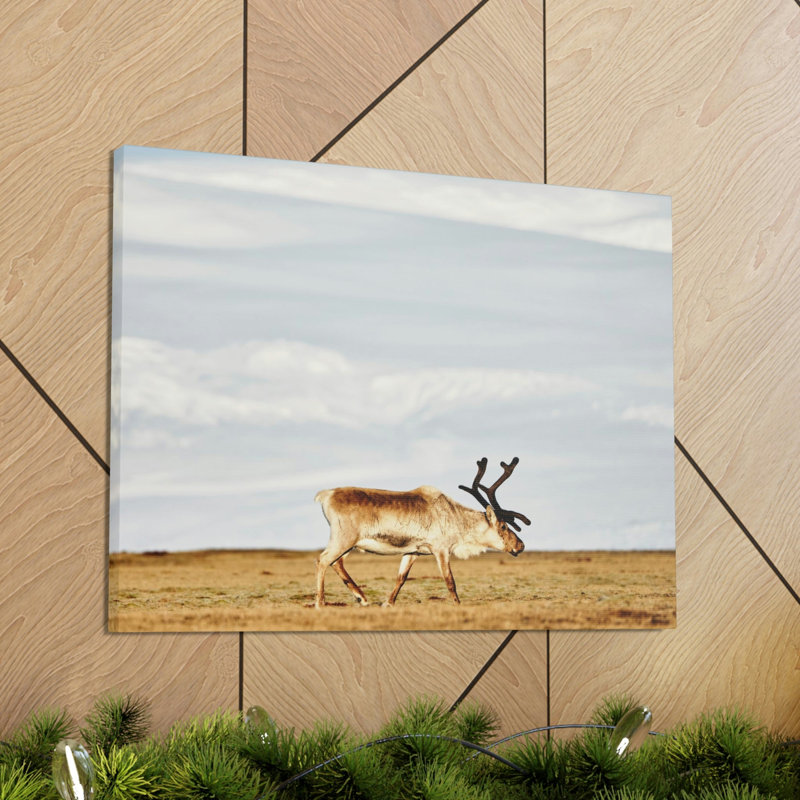 Art mural majestueux caribou, H 11 po x l 14 po