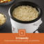 Geepas 300W Rice Cooker & Steamer with Keep Warm Function, 0.6L Automatic Cooking-220826939