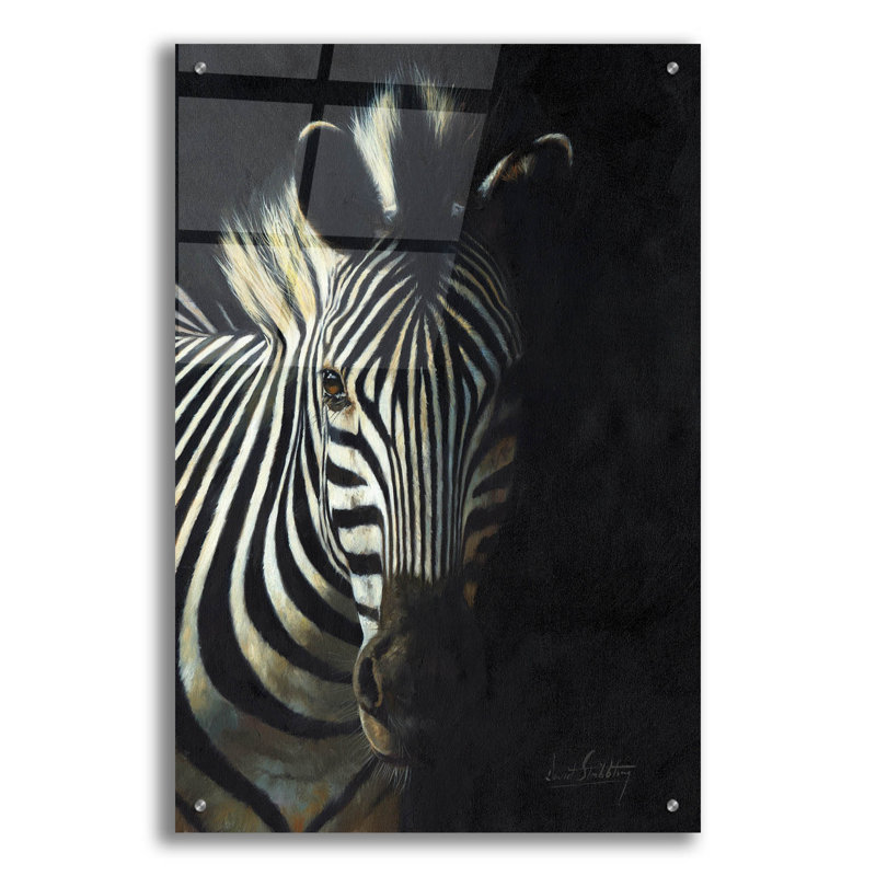 «Zebra Fade To Black2» par David Stribble, art mural en verre acrylique d'Ebern Designs, H 36 po x l 24 po x P 0,2 po