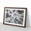 Vaulted Tree Branches - Picture Frame Painting Print-56734462-56734457