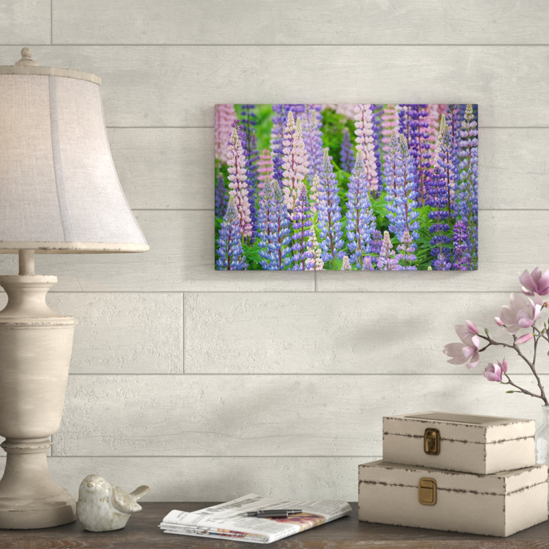 «Blue Pink Lupine Field» par Cora Niele - reproduction de photo sur toile, H 12 po x l 19 po x P 2 po