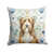 Bearded Collie brun