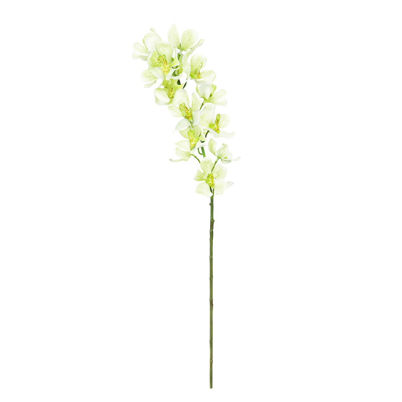 Orchid Arrangement, Cream Green