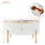 Table basse moderne avec 2 grands tiroirs de rangement Modern (31,5 po)