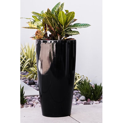 Pot Planter