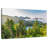 Alvord Mt. Rainier Pine Forest