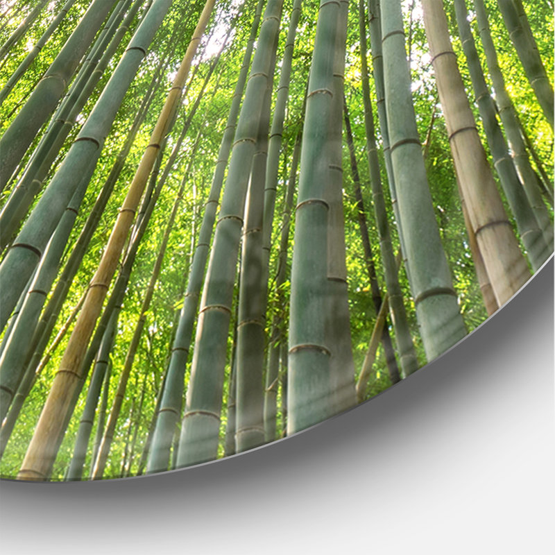 Pics de bambou dans la forêt de Kyoto - Horloge murale moderne, Surdimensionné