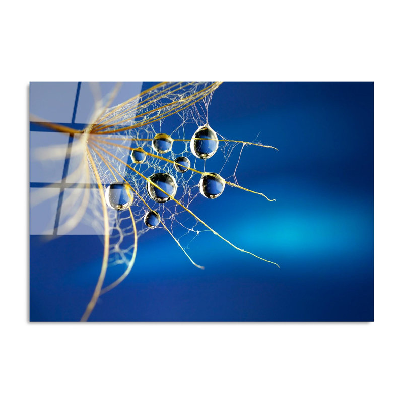 Superbe peinture murale en verre trempé 27,6 po x 39,4 po | 100% verre trempé, épaisseur: 0,16 pouce | Décoration élégante pour le salon ou le bureau, durable et facile à nettoyer, idée de cadeau parfaite