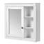 Armoire à pharmacie de salle de bain avec miroir, armoire à miroir murale avec rangement
