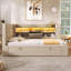 Daybed with Trundle Bed-1260901065