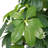 6 Ft Artificial Tree In Pot For Indoor And Outdoor Decor