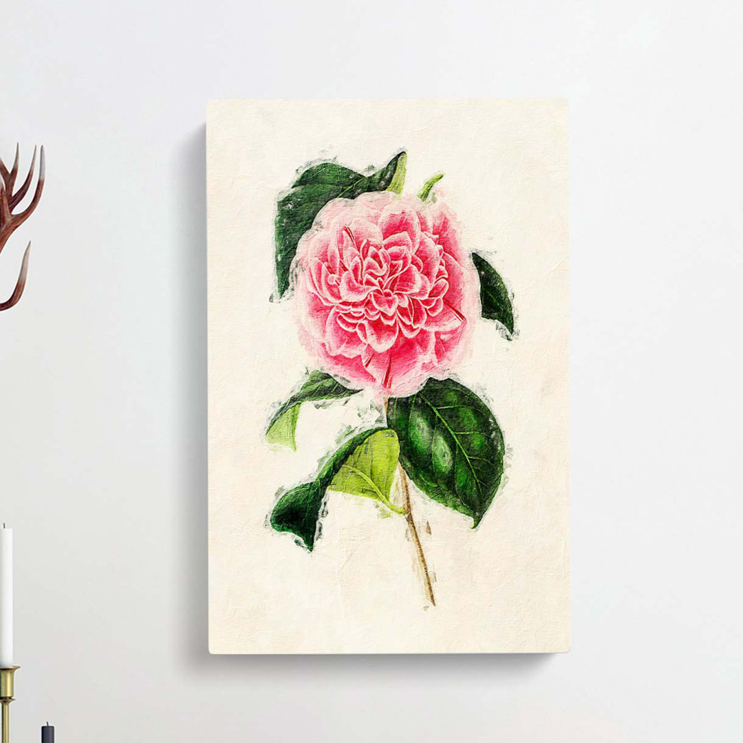 Illustration of a Pink Japanese Camellia - Wrapped Canvas