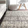 Moroccan Indoor Rug