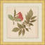 Pressed Flowers 2 Print