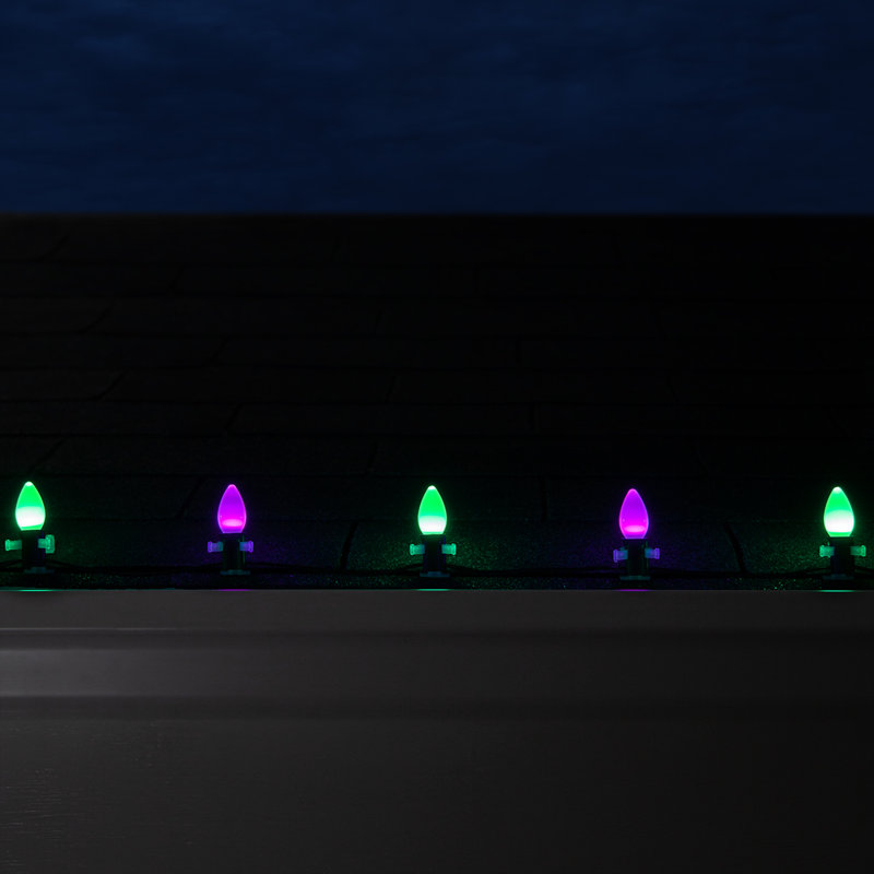 600'' String Lights, Purple/Green