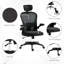 Foam Padding Office Chair-308965030