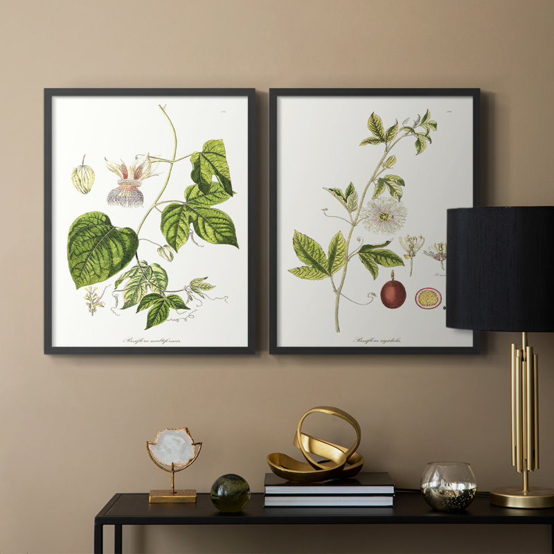 «Passion Flower Trio I», reproduction encadrée de qualité supérieure - prête à être accrochée - aucun clou requis - aucun clou requis