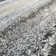 Ellensburg Abstract Indoor Rug