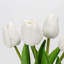 Arrangement in Vase