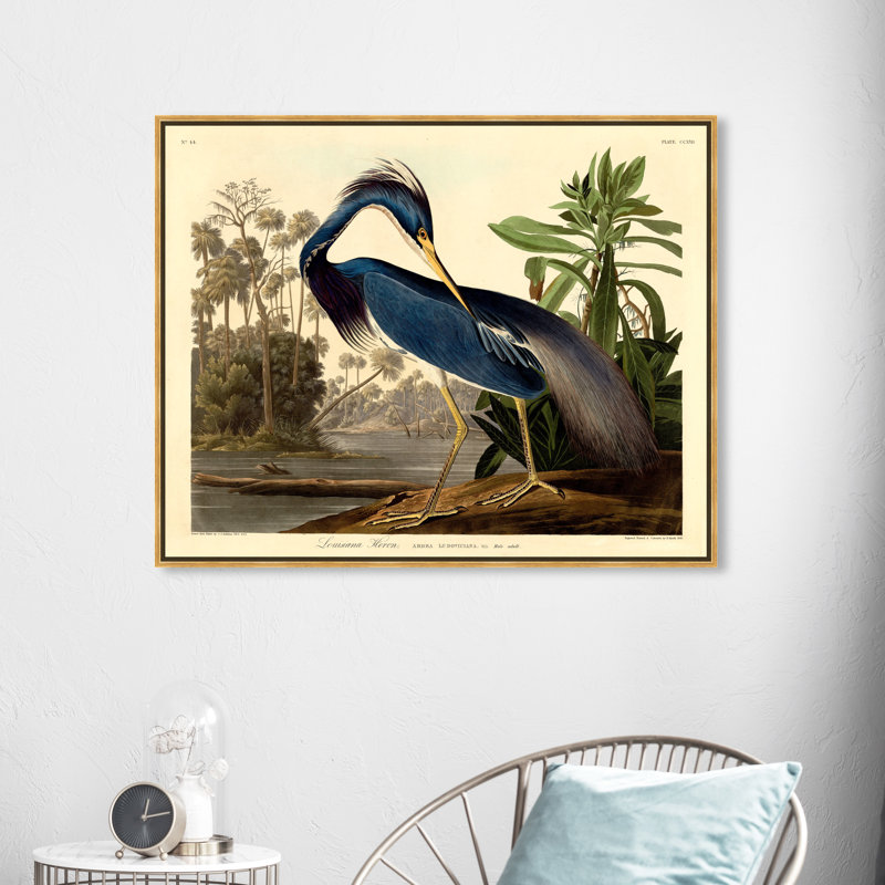 " Louisiana Heron ", Picture Framed Canvas, 30" H x 36" W, Gold