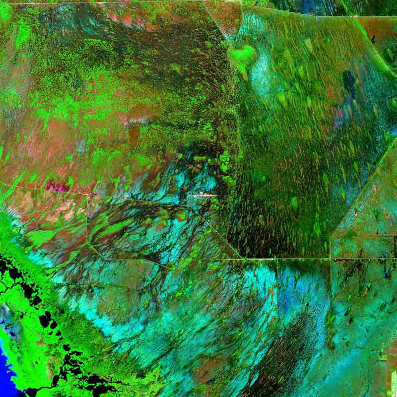 Adhésif décoratif Everglades, H 36 po x l 36 po