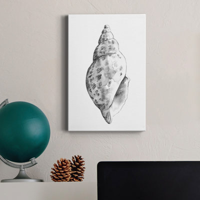 " Quiet Conch II "