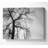 Winter Branches In The Sun B N W - Wrapped Canvas Print-1386986674